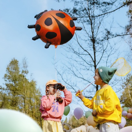 Balon bubamara - Image 3
